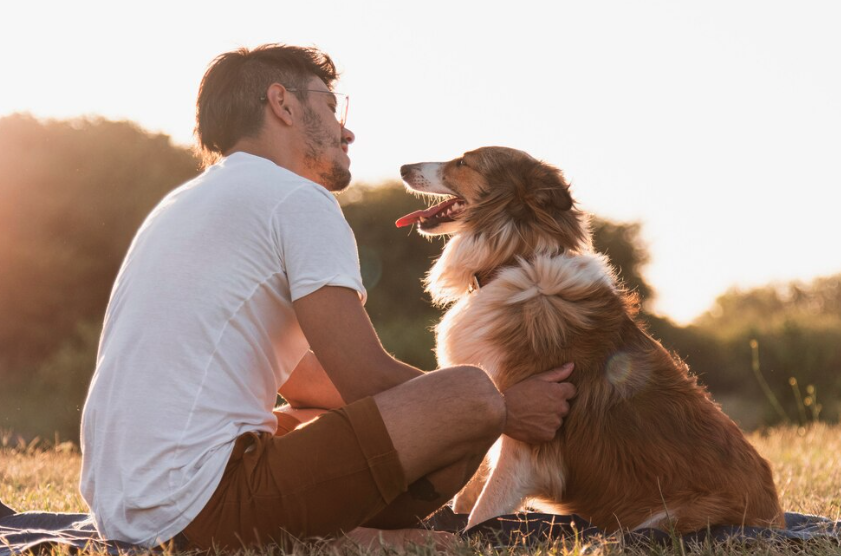 Adopt a Dog Delaware